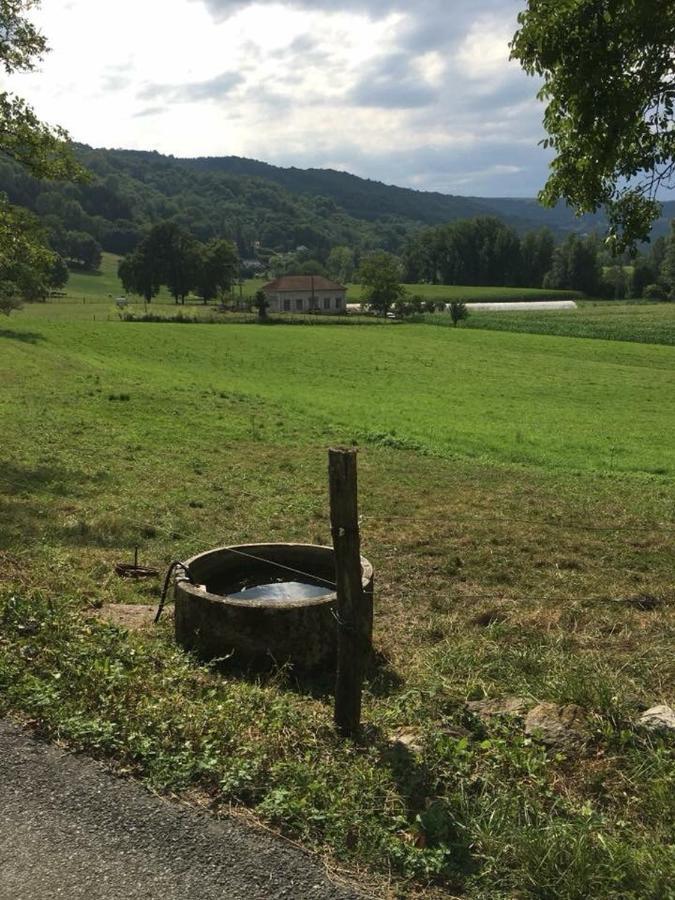 Gite:"Sur Le Chemin" Livinhac-le-Haut Eksteriør billede